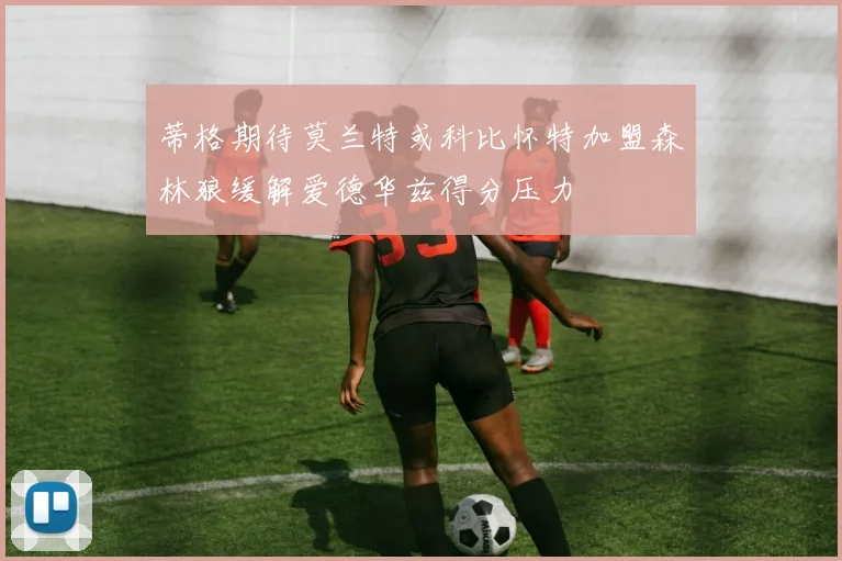 蒂格期待莫兰特或科比怀特加盟森林狼缓解爱德华兹得分压力