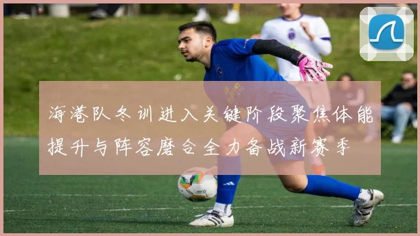 海港队冬训进入关键阶段聚焦体能提升与阵容磨合全力备战新赛季