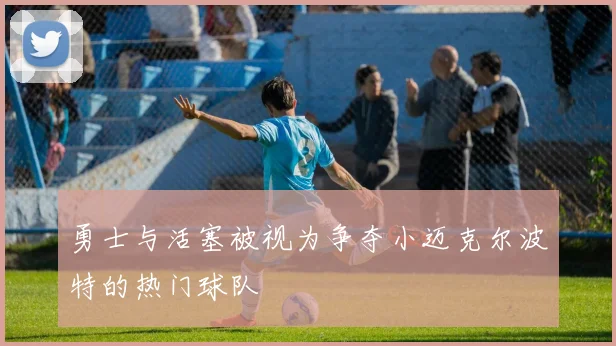 勇士与活塞被视为争夺小迈克尔波特的热门球队